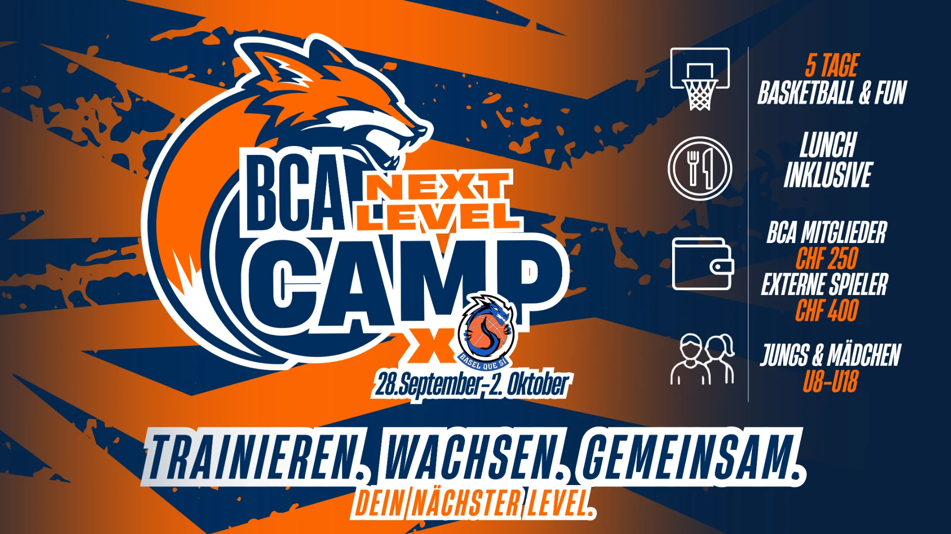 Offizielles BCA Next Level Camp 2026 Banner